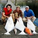 Seafood Plant, fish processing, Alaska