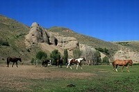 Dude Ranches Seasonal Employees